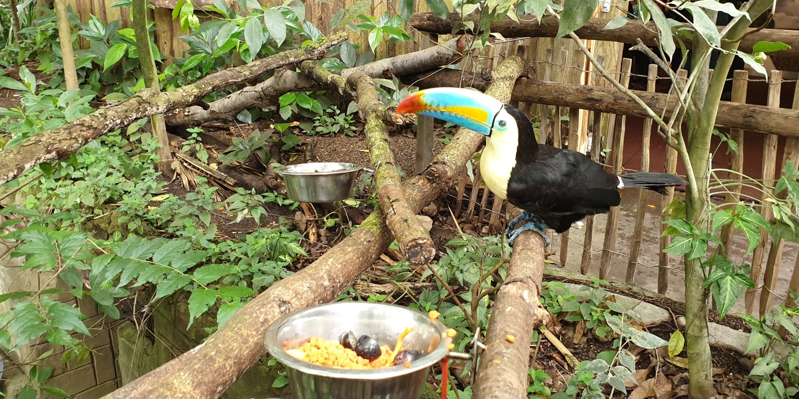 papiliorama_13.jpg