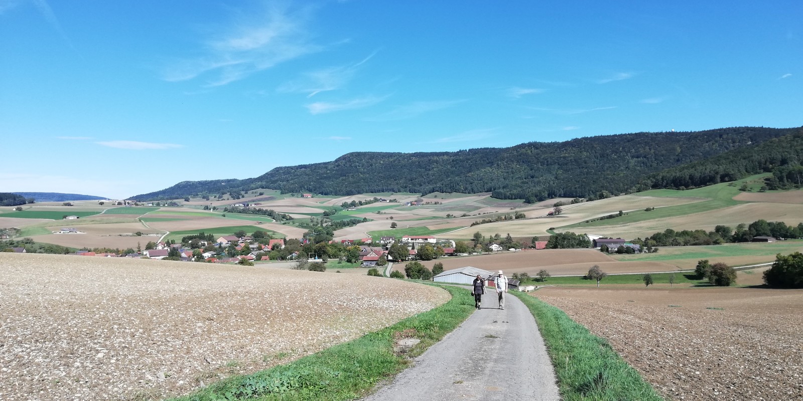 herbstwanderung_2019_03.jpg