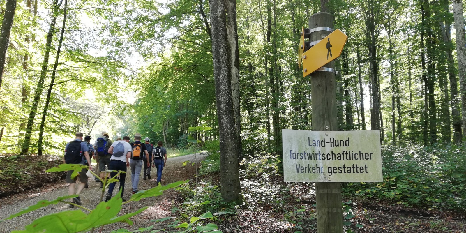 herbstwanderung_2019_06.jpg