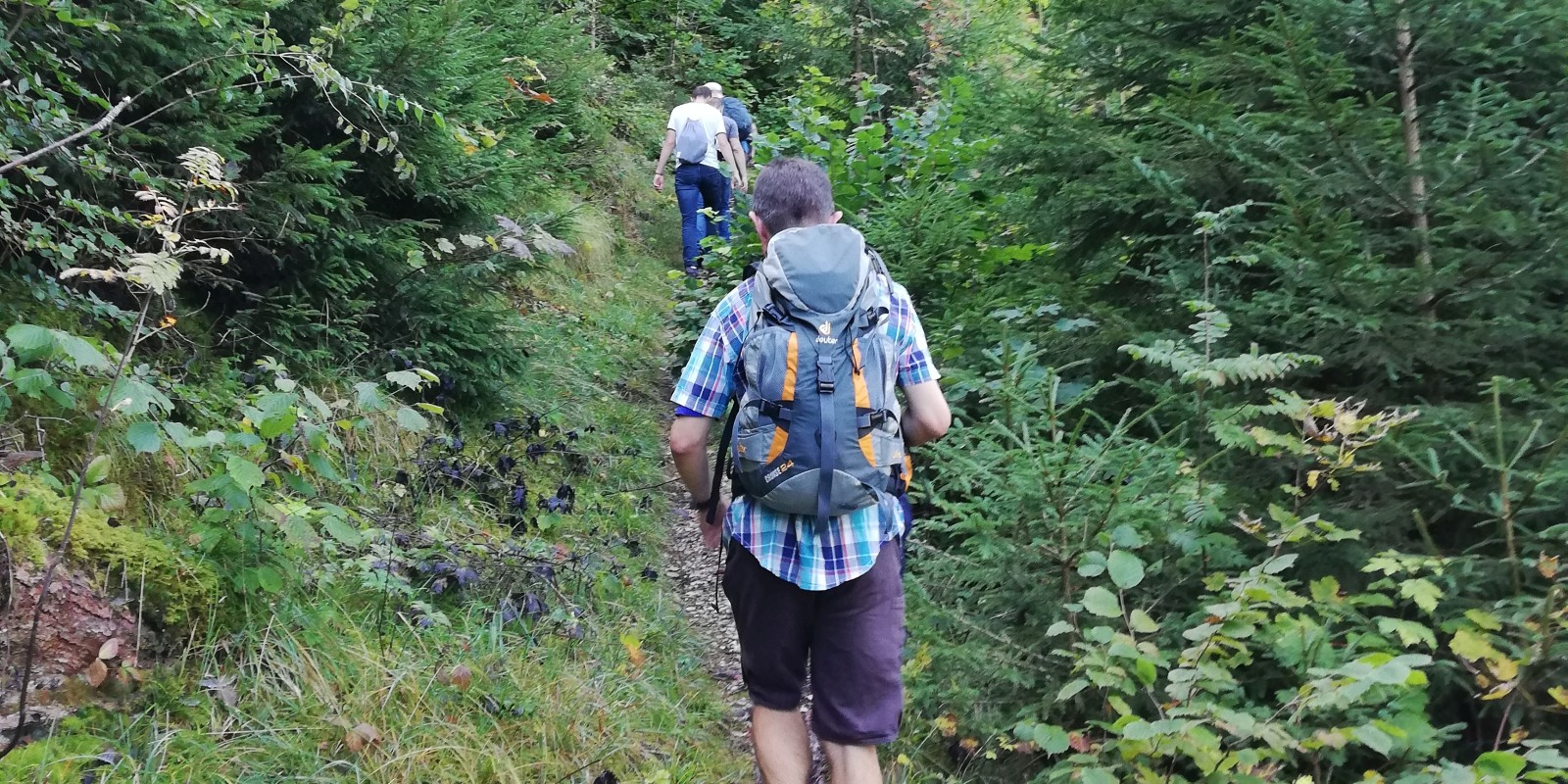 herbstwanderung_2019_07.jpg