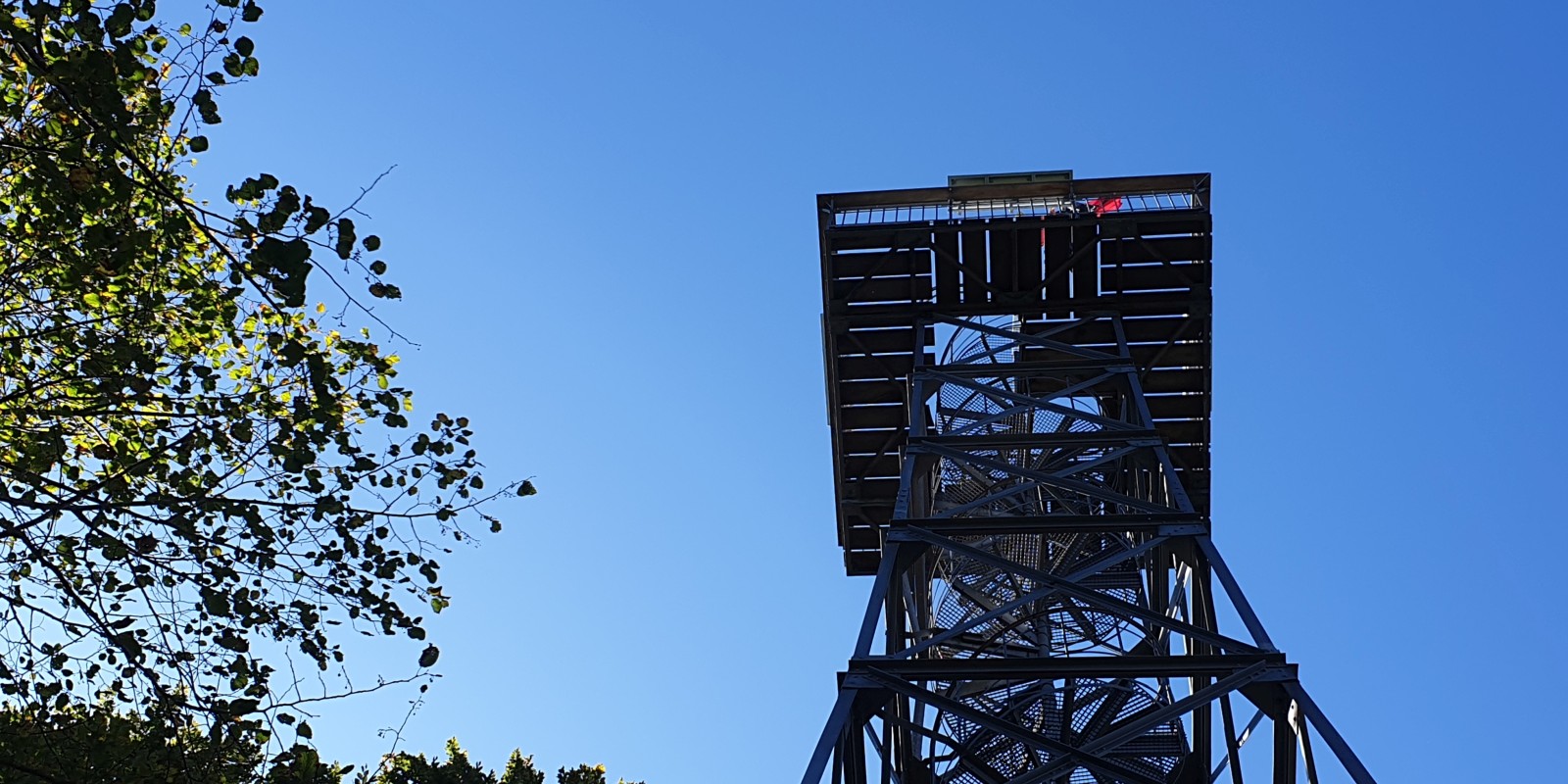 herbstwanderung_2019_12.jpg