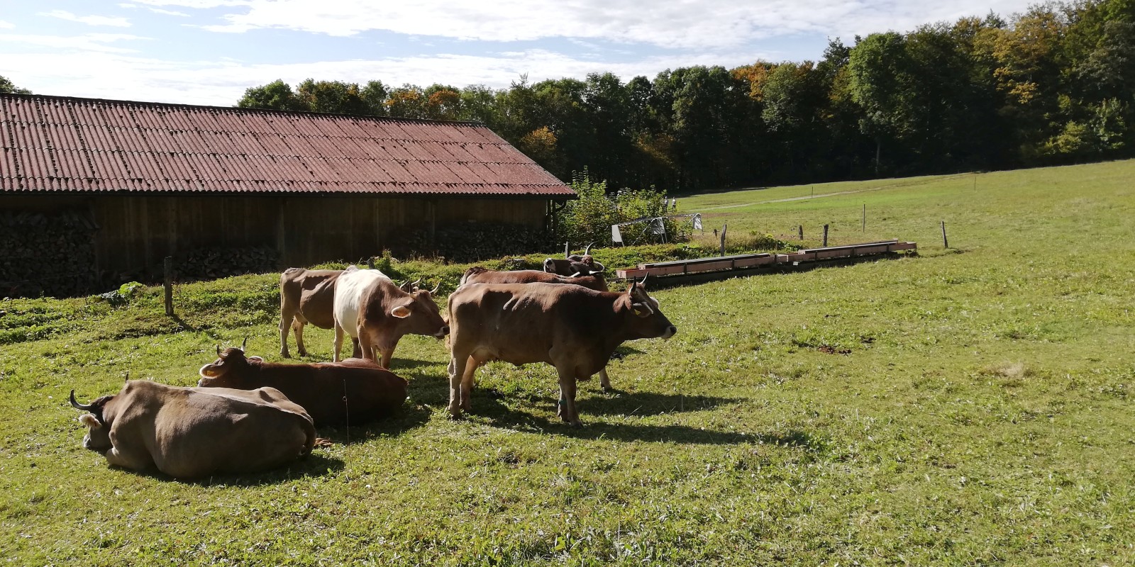 herbstwanderung_2019_14.jpg