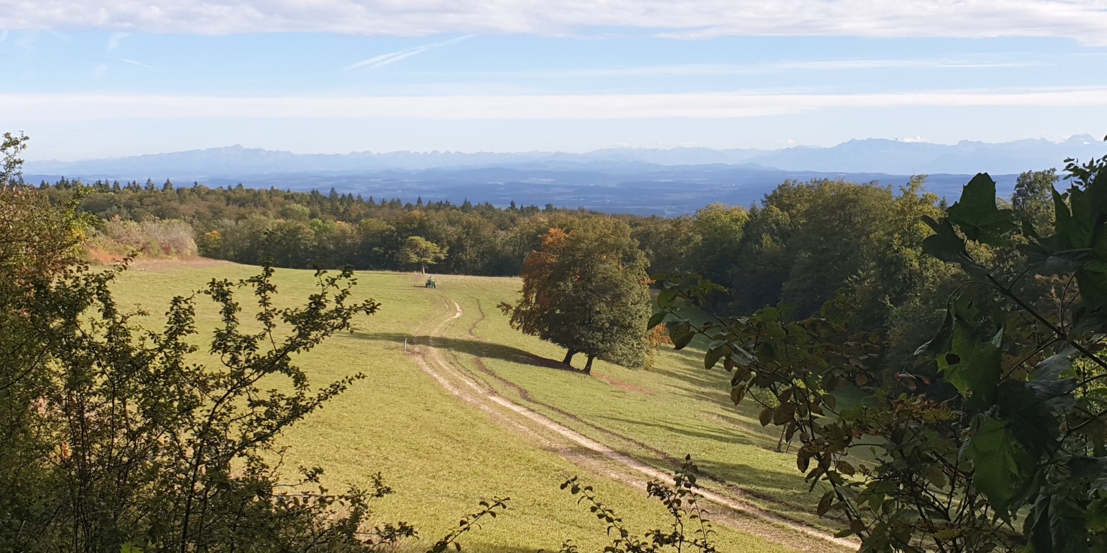 herbstwanderung_2019_15.jpg