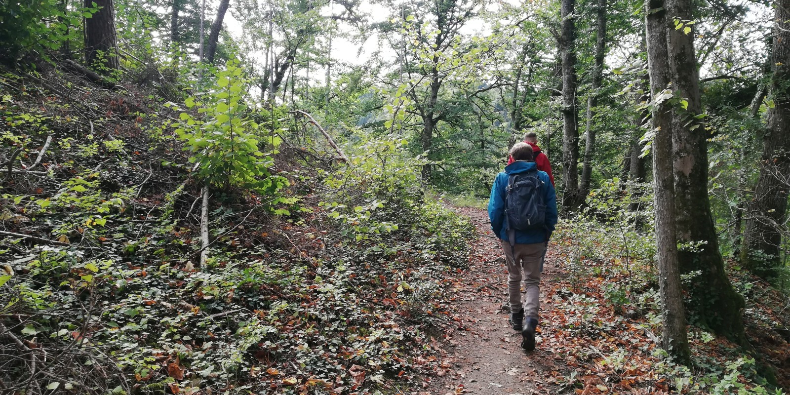 herbstwanderung_2020_19.jpg