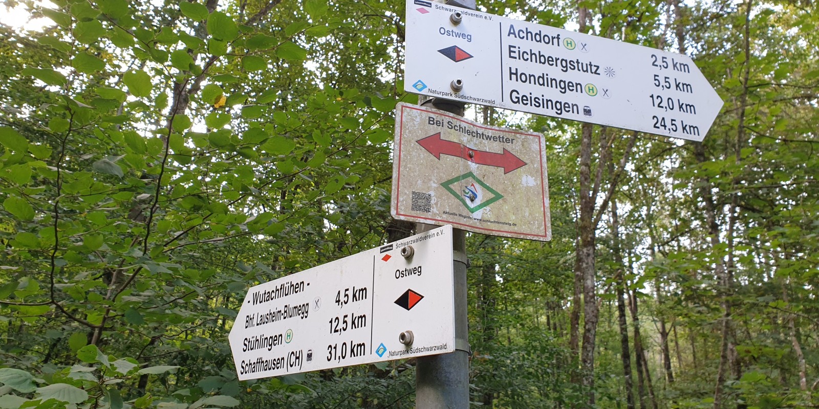 herbstwanderung_2020_20.jpg