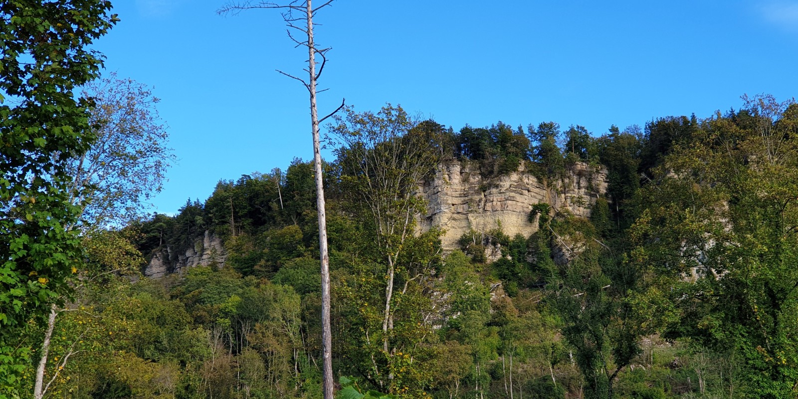 herbstwanderung_2020_21.jpg