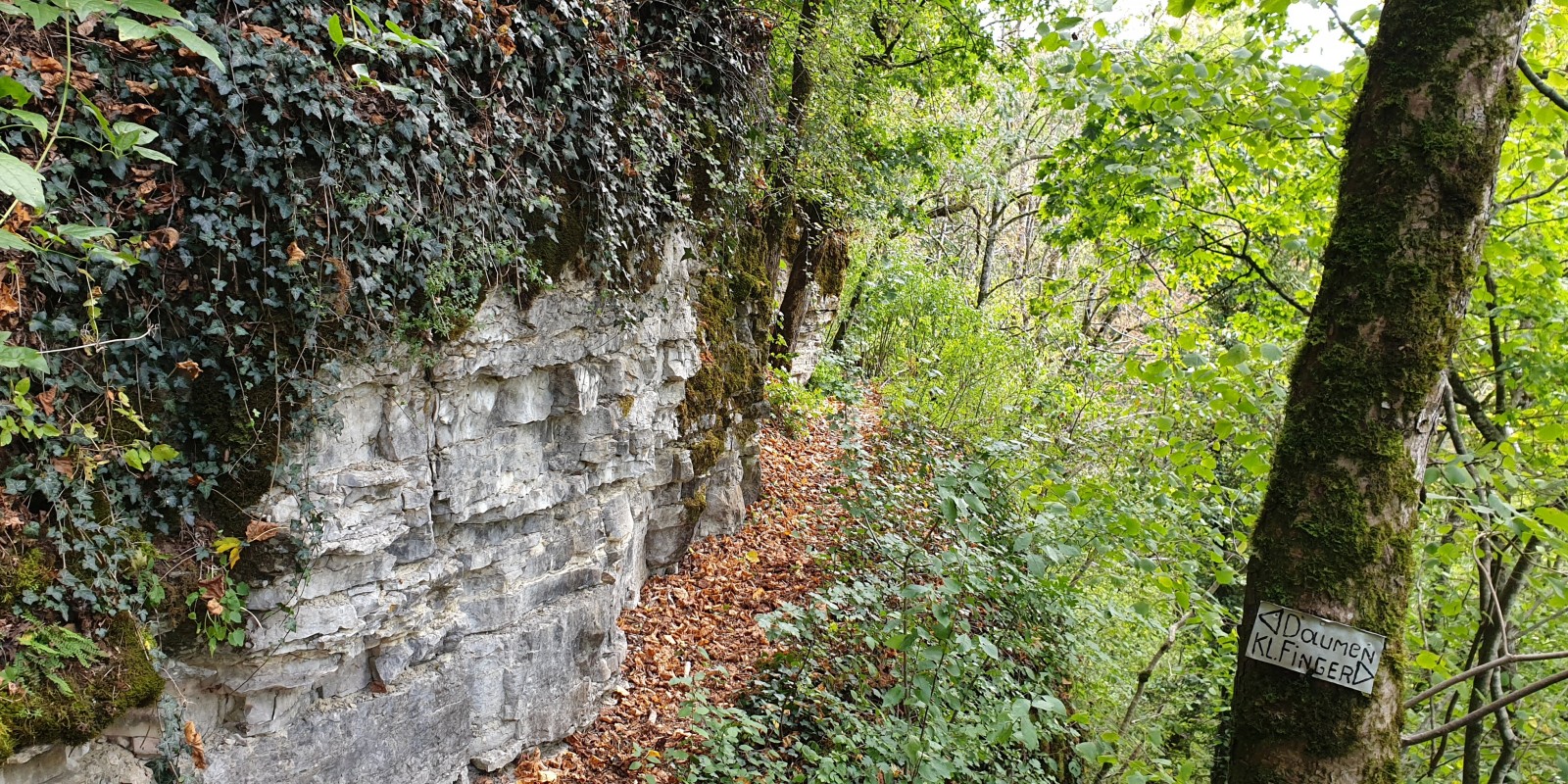 herbstwanderung_2020_22.jpg