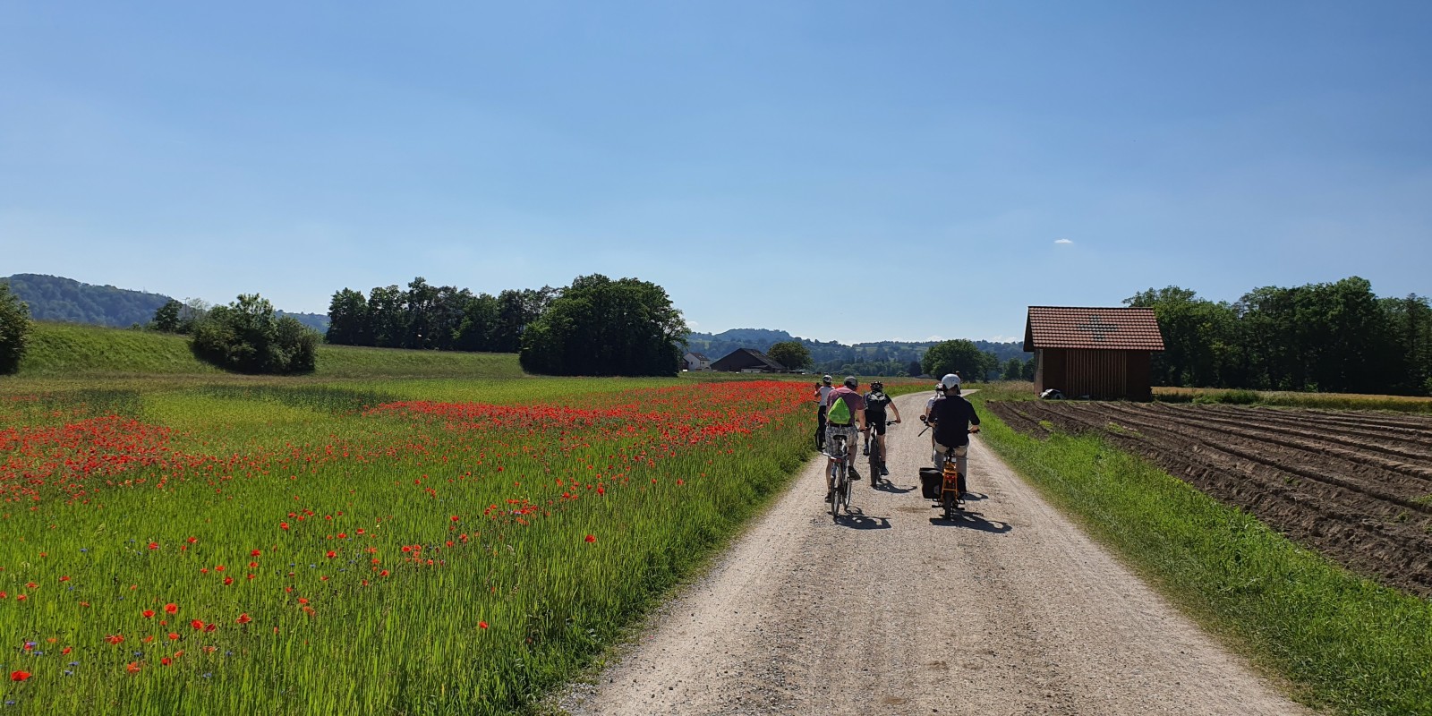 velotour_04.jpg