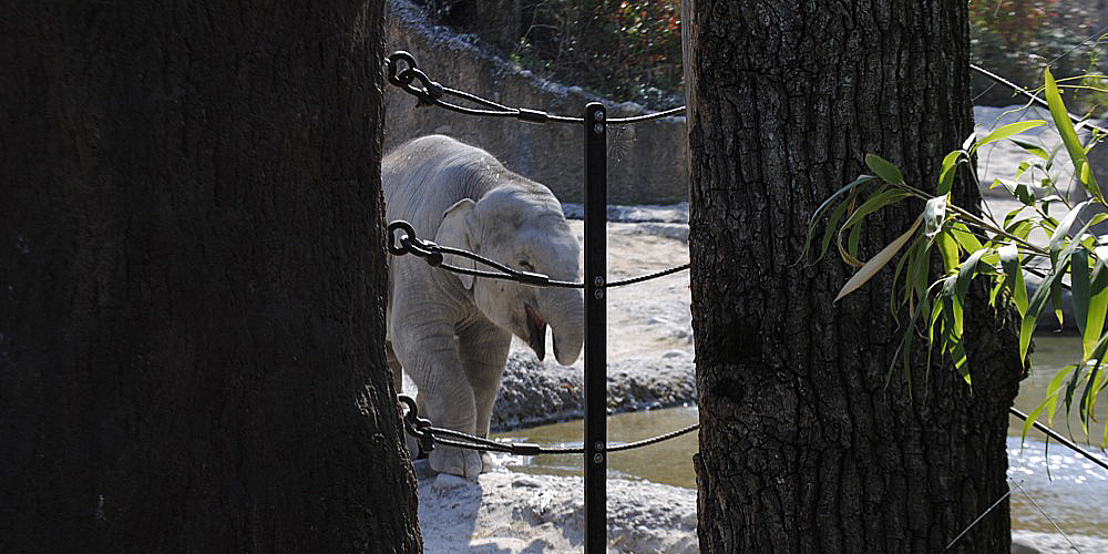 zoo_zuerich_05.jpg