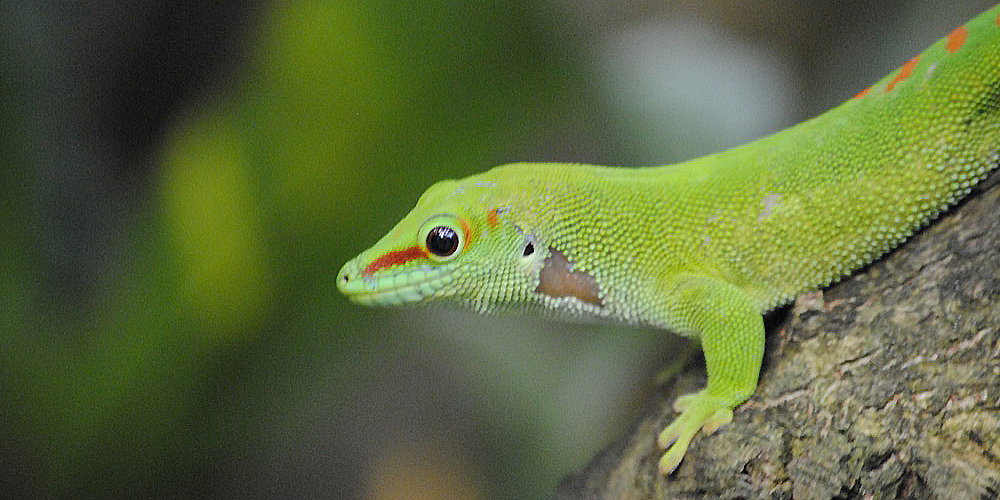 zoo_zuerich_20.jpg