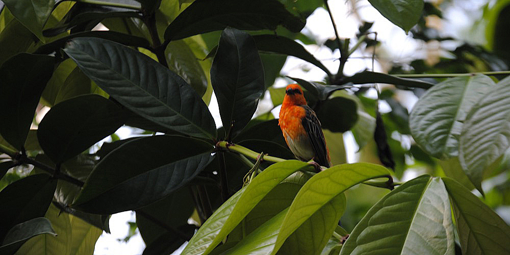 zoo_zuerich_22.jpg