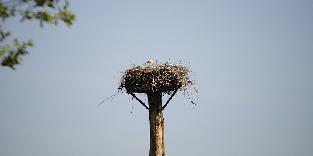 zoo_zuerich_23.jpg